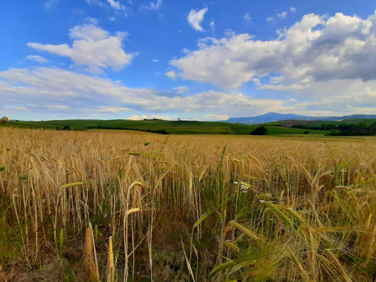 La Corte Antica Pienza Exteriör bild