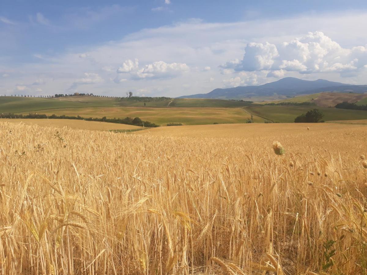 La Corte Antica Pienza Exteriör bild